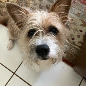 Meet your Posher, Mary